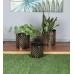 Black & Gold Dot Hammred Planter Set of 3